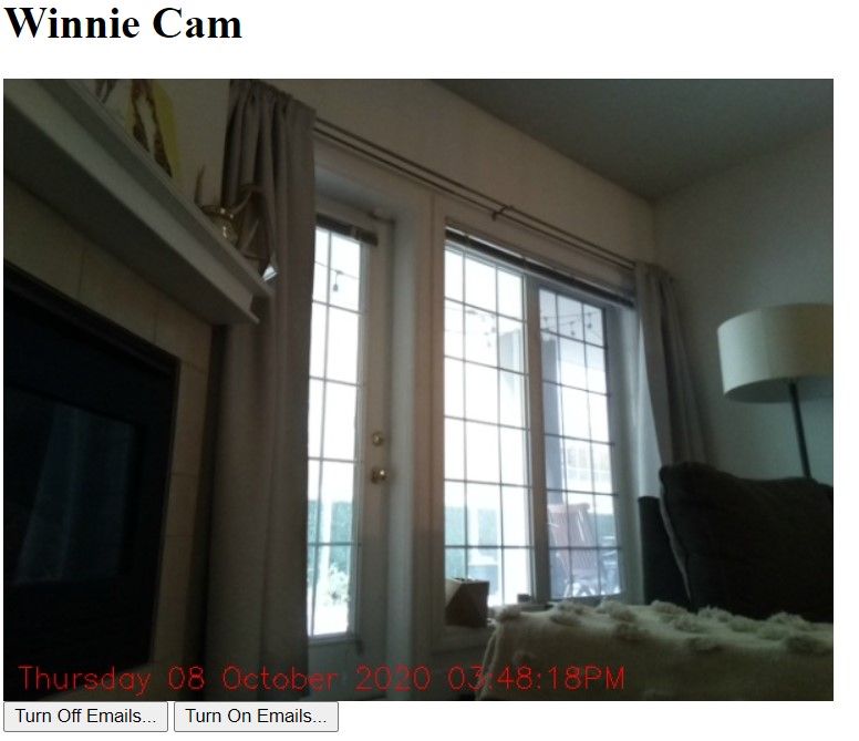 cat-cam-example